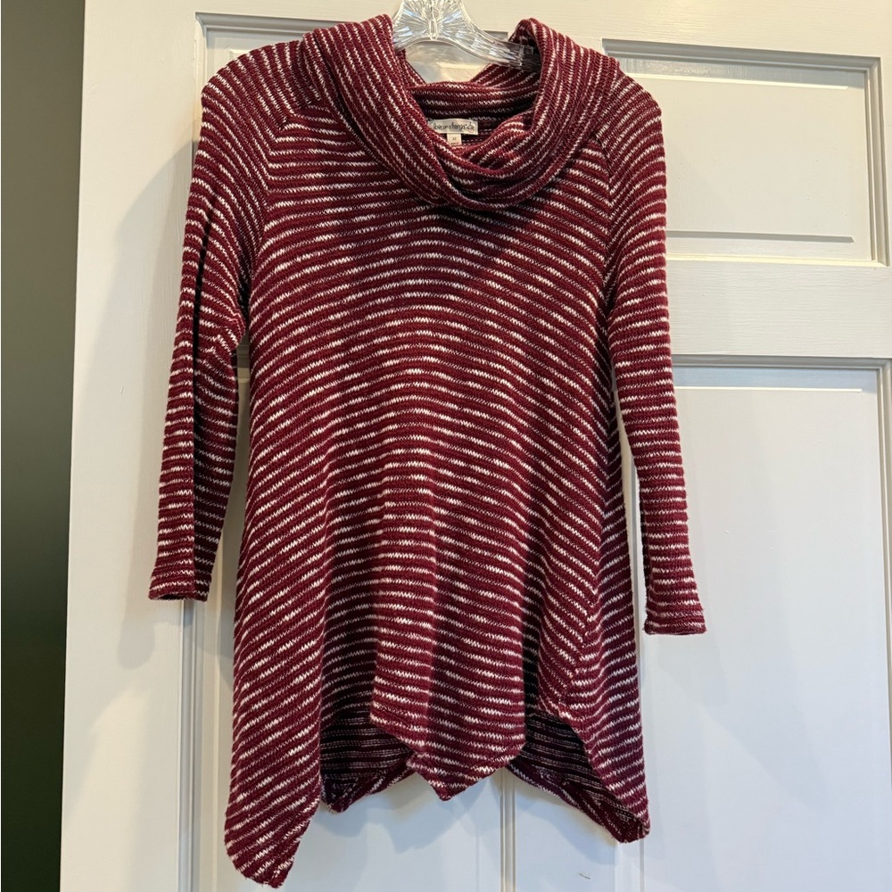 Love on a Hanger Burgundy Striped Cowl Neck Sweater
